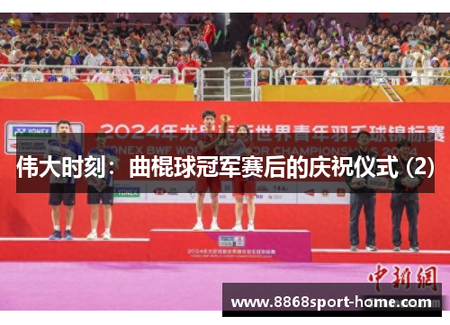 伟大时刻：曲棍球冠军赛后的庆祝仪式 (2)