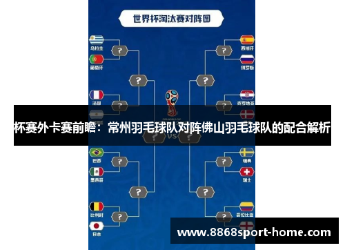 杯赛外卡赛前瞻：常州羽毛球队对阵佛山羽毛球队的配合解析